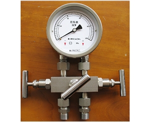 南京差压表带三阀组