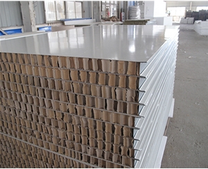 南京南京50厚1150型纸蜂窝夹芯板